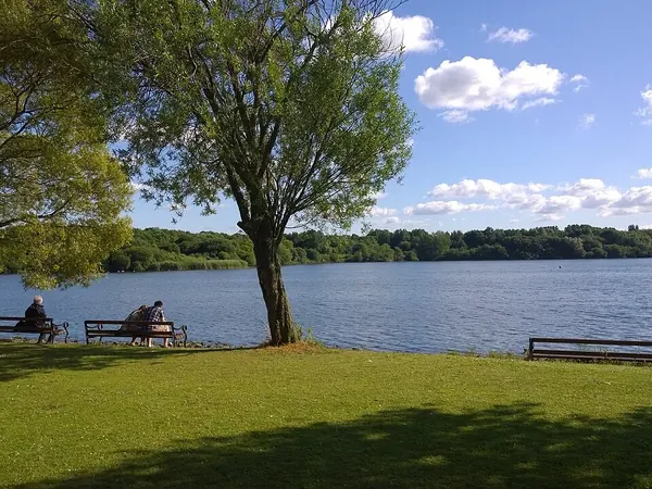 Benches and trees beside the lake at Pennington Flash Country Park, Leigh